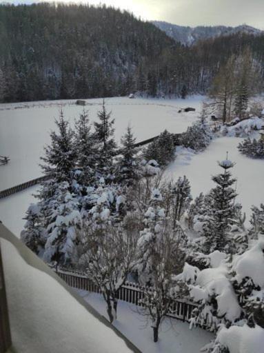 Apartament Rojka Zakopane Exterior foto
